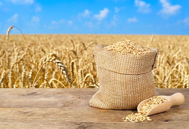 Alimentos con gluten cebada. Alimentos con gluten cebada.