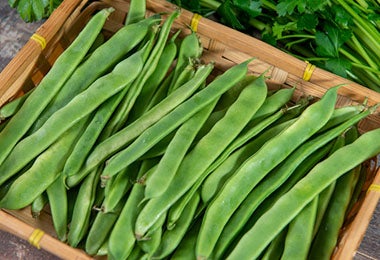 Canasta con vainas de habichuelas tubulares