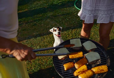 Pareja cocinando al aire libre en una parrilla junto a su mascota para ahorrar energía.