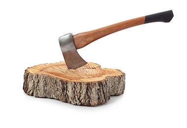 Corte y tallado del tronco con el se fabricarán las bateas de madera.