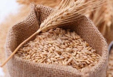 Primer plano de trigo en un saco.