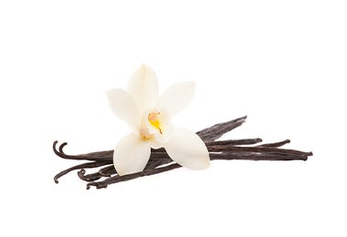 Ramas y flor de vainilla.