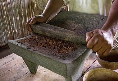 Molienda de cacao manual. Molienda de cacao, proceso del cacao.