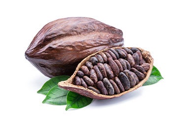Molienda de cacao, semillas. Molienda de cacao, semillas de cacao.