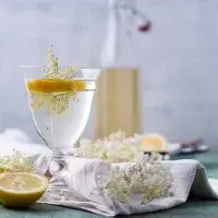 Flor de saúco, una de las flores comestibles, en una infusión con limón. Flor de saúco, una de las flores comestibles, en una infusión con limón.