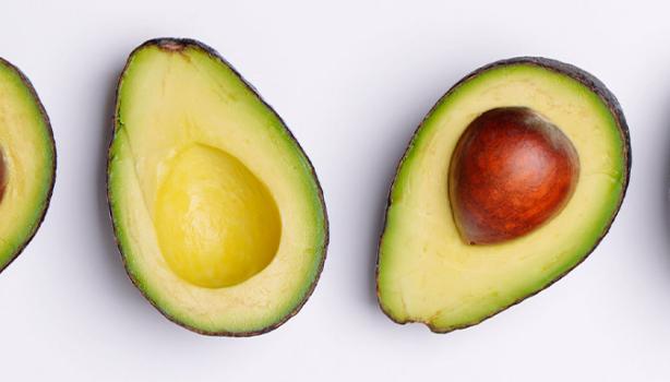 Aguacate partidos
