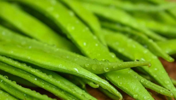 Habichuelas verdes frescas  