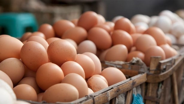 Canastas repletas de huevos para congelar.