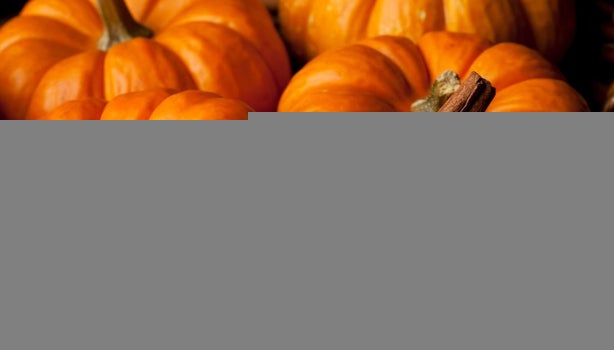 Tres borojós junto con ramas de árbol.