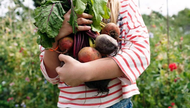 Niña con una buena cantidad de caimitos en sus brazos.