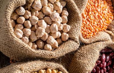 Sacos con granos de garbanzos Sacos con granos de garbanzos