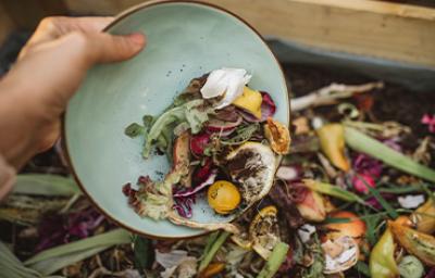 Restos de frutas y verduras en un contenedor de abonos naturales 