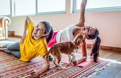 Unas mujeres haciendo ejercicio en casa con su perro
