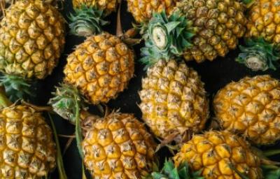 Beneficios de la piña, muchos y variados. Canastada de piñas, una fruta con muchos beneficios.