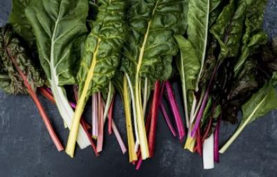 Tipos de acelgas: Acelgas de colores frescas y listas para cocinar Variedades de acelga de colores, incluyendo acelga roja, amarilla y verde