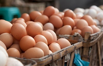 Huevos congelados, una técnica culinaria muy utilizada. Canastas repletas de huevos para congelar.