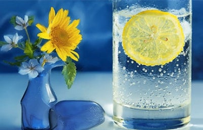 El agua carbonatada no es solo agua con burbujas, el gas carbónico cambia el sabor y tiene efectos profundos en el sabor de la bebida. Bebida refrescante de agua carbonatada y limón