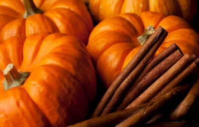 Tres borojós junto con ramas de árbol.