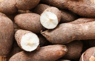 Muchos tubérculos juntos.