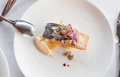 Tipos de pescado salmón en plato blanco.