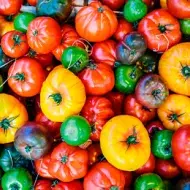 Variedad de tomates de diferentes colores