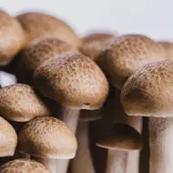 Champiñones ingredientes con sabor umami Champiñones ingredientes con sabor umami