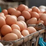 Canastas repletas de huevos para congelar.