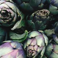 Alcachofas frescas verdes y moradas en primer plano, perfectas para conocer mejor para qué sirve la alcachofa en recetas