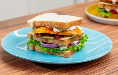SANDWICH DE POLLO Y CÚRCUMA SABOR Y COLOR SANDWICH DE POLLO Y CÚRCUMA SABOR Y COLOR