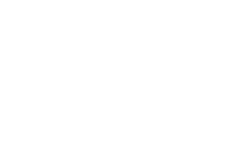 Banner Logo